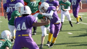 LSU Tigers of San Benito