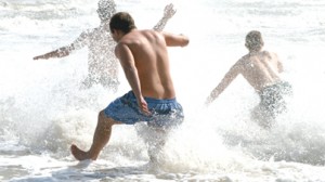 SPI Polar Bear Dip pic