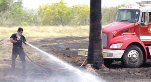 wild fire pic1