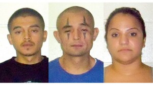 IDEA burglary suspects