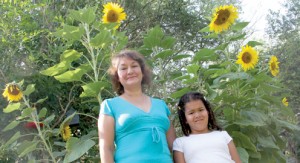 sunflowers pic1