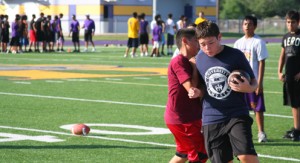 Greyhound camp pic2