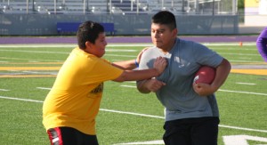 Greyhound camp pic3