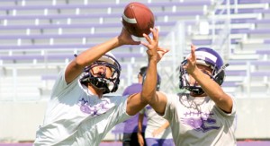 Greyhound two-a-days pic2