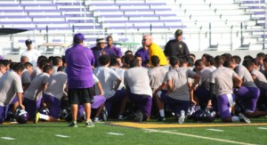 Greyhound two-a-days pic3