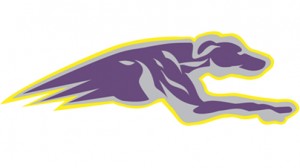 Hounds logo