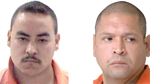 murder for hire suspects murder for hire suspects
