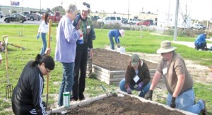 Master Gardener pic1