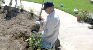 Master Gardener pic2