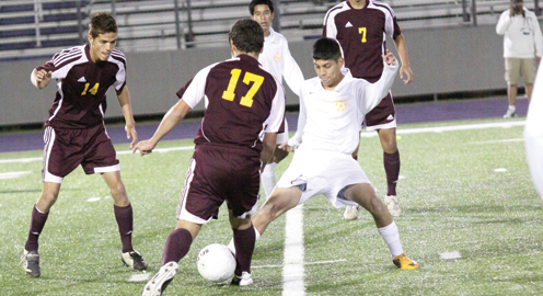 Greyhound soccer Greyhound soccer