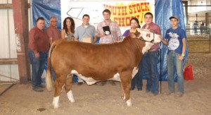 Grand Champion Steer
