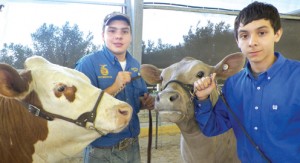 Sonny Brazil Classic