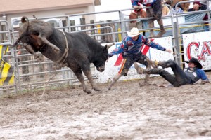 PRCA Rodeo pic1