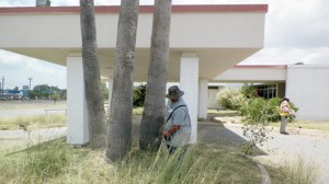 Dolly Vinsant cleanup