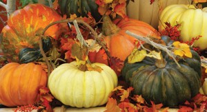 A baskets with pumpkins and leaves