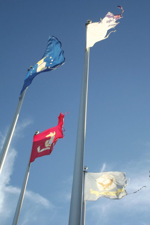 tattered flags tattered flags