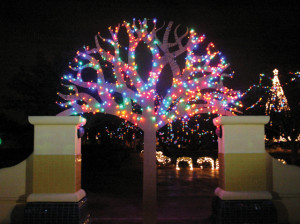 Heavin Christmas lights2