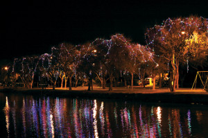 Heavin Christmas lights3