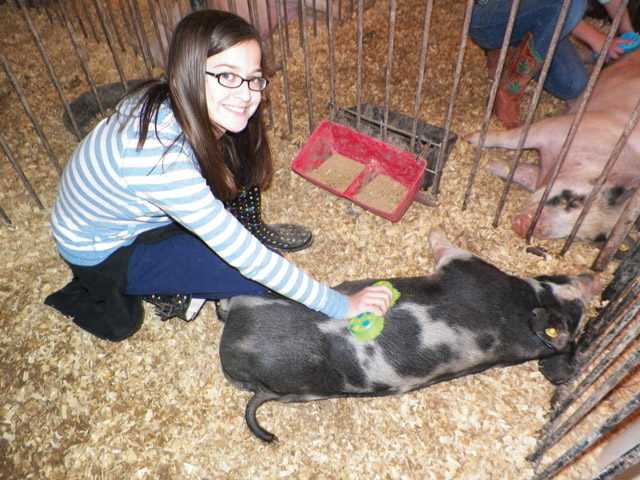 Pictured are scenes from this weekend’s South Texas Youth Stock Show, which was held Jan. 17-20 at the San Benito Municipal Fairgrounds. (Photos by Andrea Mosqueda) 