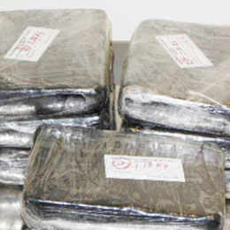 Photo courtesy of US Customs and Border Protection