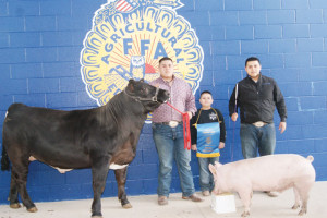 Photo by Andrea Mosqueda Siblings A.J. Garcia, 18, and Alex Garcia, 17, are seen Friday with their brother Abraham and their Grand Champion Steer and Hog.