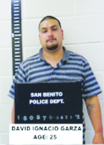 Microsoft Word - Maldonado-Navarro-Garza