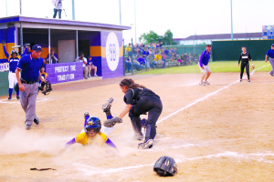 Lady Hounds pic online 3