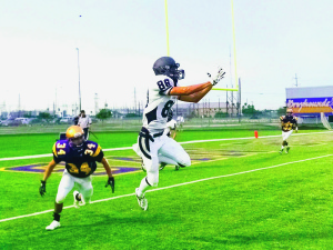 Greyhounds begin action