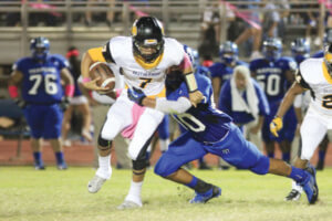 Rio Hondo Bobcats hope to pounce back after year out